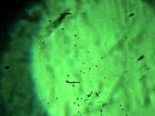 what if this load of my hot cum is just enough to fill you up completely and satisfy your deepest cravings?