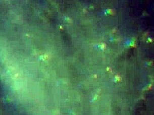 what if this load of my hot cum is just enough to fill you up completely and satisfy your deepest cravings?