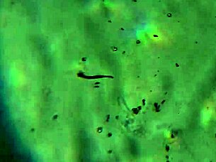 what if this load of my hot cum is just enough to fill you up completely and satisfy your deepest cravings?