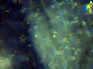 what if this load of my hot cum is just enough to fill you up completely and satisfy your deepest cravings?