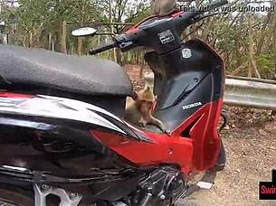 Amateur Asian Teen Rides Huge European Cock in Passionate Pov Encounter