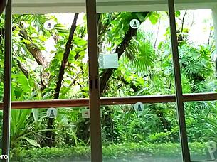 On Vacation in Cancun Mexico Where Pervy Papifachero Plays with Thongs Showing Off Big Fun