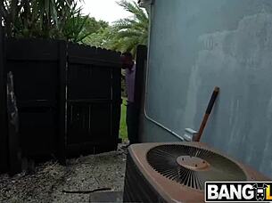 nyny lew meets connie perignon in exciting adventure