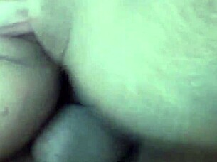 Shy Brazilian Enjoys Delicious Anal Sex