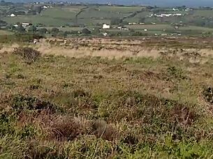 Public bdsm scene with clothes ripped for naked humiliation and slave striptease outdoors