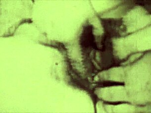 dialogic let's dive into chapter one of a night in a moorish harem by lord george herbert