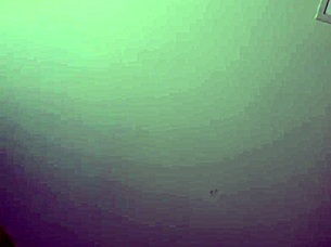 i love stretching my wet pussy open for you, will ya fuck me with dirty talk joi