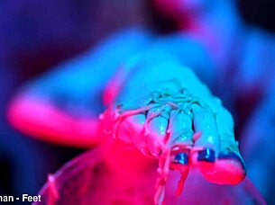 Whoa, check out these sexy feet totally crushing those cup noodles in a wild femdom vibe! 😏👣