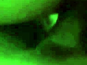 Soy una putica que me follo al hijo de mi padrastro, ¡qué rica verga tiene!