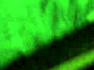 Will This Naughty Babysitter Take It Deep In Her Tight Ebony Ass?