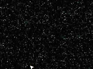 college party leads to wild fun