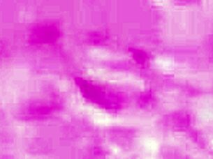 i feel so excited showing off my stunning sexy body in this photoshoot