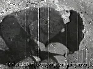 oh man, this vintage hairy retro classic from dark lantern entertainment presents my secret life... wait, i mean the secret life, yeah...