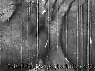 oh man, this vintage hairy retro classic from dark lantern entertainment presents my secret life... wait, i mean the secret life, yeah...