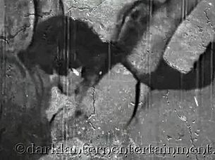 oh man, this vintage hairy retro classic from dark lantern entertainment presents my secret life... wait, i mean the secret life, yeah...