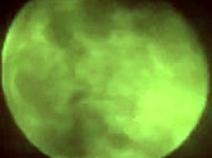 Hey gorgeous blonde milf, ready to take that monster cock deep in your ass outdoors?