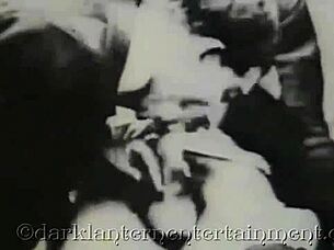 oh man, this vintage hairy retro classic from dark lantern entertainment presents my secret life... wait, i mean the secret life, yeah...