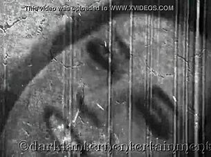 oh man, this vintage hairy retro classic from dark lantern entertainment presents my secret life... wait, i mean the secret life, yeah...