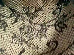 big ass mature woman in lingerie wants that cum inside her now 😏