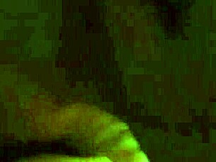 big tits milf slut gets pussy licked in muff diving cunilingus with big ass bitch