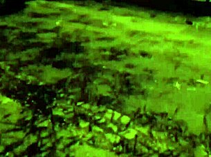 hey sissi sucks my cock right in the street and i cover her pretty face with hot cum - dollscult