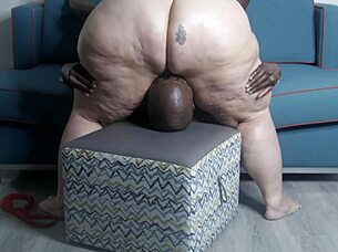 Big Booty SSBBW Latina Vicky Plush Fucking And Sucking BBC