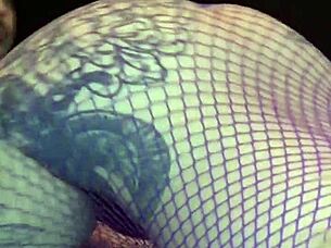 kyoho grapes s4 explores varieties from spanish french colombian brazilian british usa german mexican regions