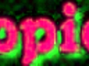 Now that I have a hot guy around, can I live out my wild porno fantasies?