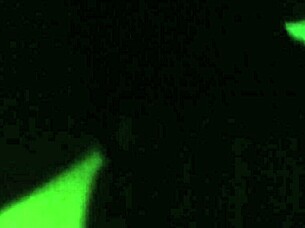 Outdoor Fucking With Moaning Pussy Action!