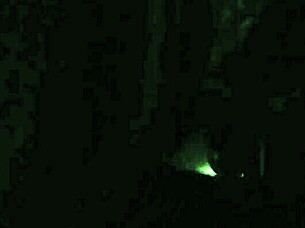 Outdoor Fucking With Moaning Pussy Action!