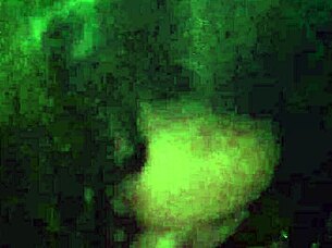 New outdoor missionary pounding with wet pussy and blowjob action!