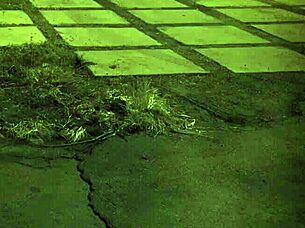 Tall Teens in Extreme Outdoor Orgy with Intense Amazon Domination for First Time