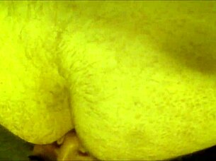 hey, my latina girlfriend gives intense rimjob and ass licking in close up amateur action with friends