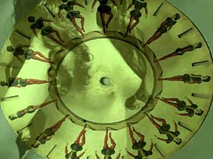 vintage hairy beaver porn