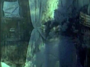 vintage hairy beaver porn