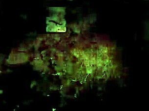 vintage hairy beaver porn