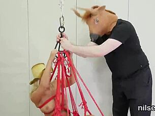 Spicy Kitten Brought to Ass Hole Asylum for Brutal and Painful Therapy Session