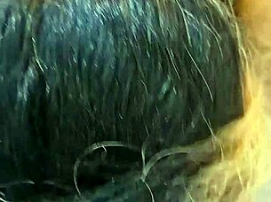 Delicious blowjob action from tattooed latina milf in 2024