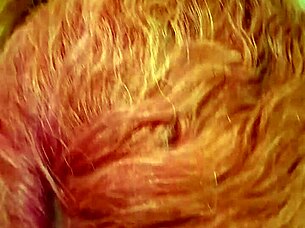 Delicious blowjob action from tattooed latina milf in 2024