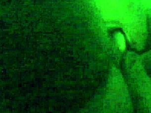 Ebony woman enjoys intense PUSSY LICKING from big cock partner. Passion builds to orgasm.