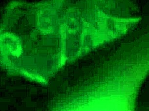 I'm eating out my sis's boyfriend when no one's home, licking his ass in homemade action.