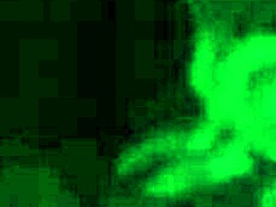 I'm eating out my sis's boyfriend when no one's home, licking his ass in homemade action.