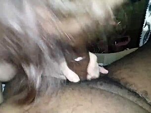 Why settle for anything less when local thot Cheri is sucking that big black cock?