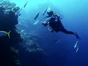 super shark features a brunette in a sexy bikini on the boat