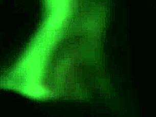 Submissive blonde alexxa vice wears collar for potro to fuck her mouth pussy and ass hard!