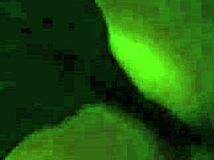 Slippery Oiled Ass Gets Intense Amateur Fucking