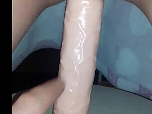 Vicio8586 update 4 brings couple bets and homemade toy action to life!