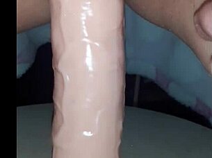 Vicio8586 update 4 brings couple bets and homemade toy action to life!