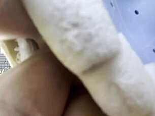 Local Bunny Sucks Hard Cock