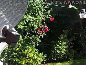 Isn't This Sexy Neighbor Tempting With Big Tits And Saggy Curves Next Door?